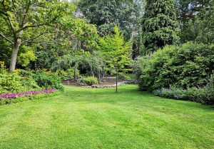 Optimiser l'expérience du jardin à Chemille-sur-Indrois